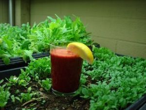 Our Mighty Magic Raw Juice