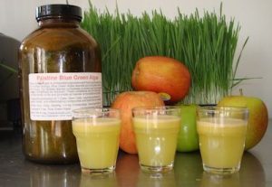 Raw Apple Juice Shooters Recipe