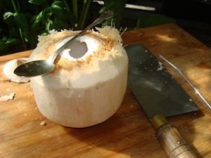 Raw Coconut Ready To Eat