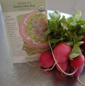 Raw Easter Egg Radishes and Seeds For Sprouts