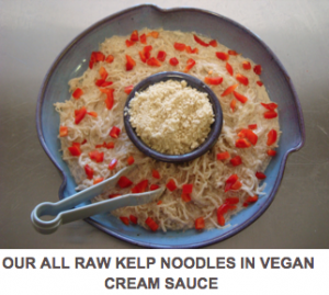 Raw Kelp Noodles In Vegan Cream Sauce