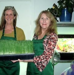 Students With Wheat Grass