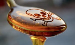 High Fructose Corn Syrup is an insidious chemical that has crept into our food supply
