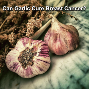 Garlic appears to slow the growth of tumors in prostate, bladder, colon and stomach tissue