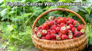 Strawberries were one of my mighty warrior foods when I was detoxing my body to heal from cancer