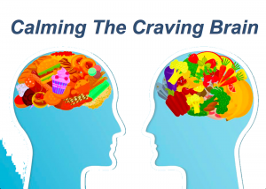 Living Foods have the ability to heal brain chemistry and help re-wire the craving brain