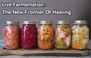 Live fermentation improves the bio-availability of minerals present in food as well as creating new nutrients