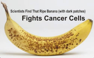 Ripe bananas contain TFE molecules that can inhibit the development of abnormal cells