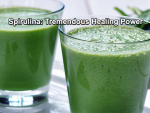 Spirulina's tremendous healing power can help us build up our immune systems to fight COVID-19