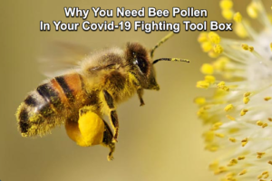 Pure Natural Bee Pollen Enhances The Immune System To Fight Covid-19