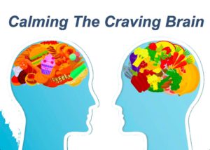 Calming The Craving Brain