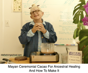 MAYAN CEREMONIAL CACAO FOR ANCESTRAL HEALING